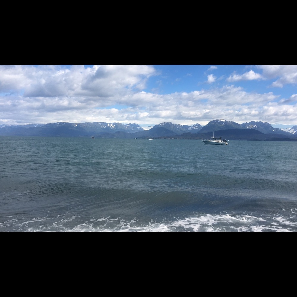 Meet your Posher, Clementina