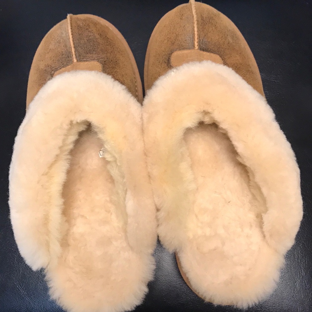 Ugg slippers