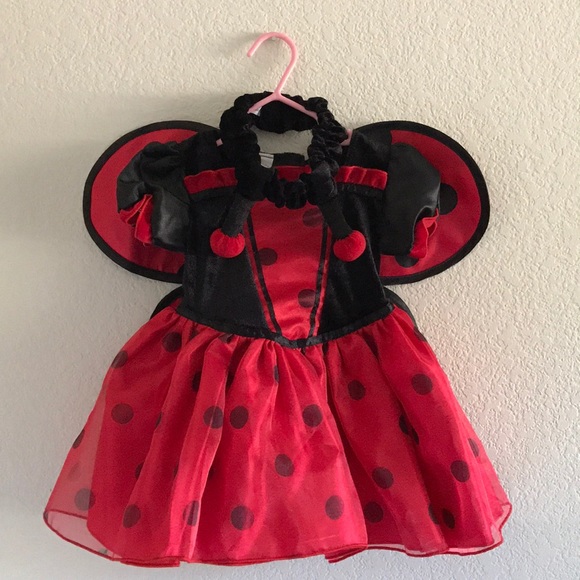 Koala Kids Costumes Ladybug Costume Poshmark