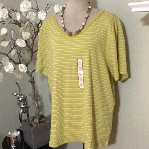 Venezia Tops - VENEZIA PLUS SIZE SHIRT