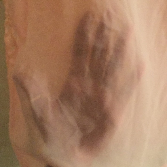 Sheer floral top The Loft - Picture 5 of 8