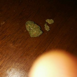 Meet your Posher, Jacoby