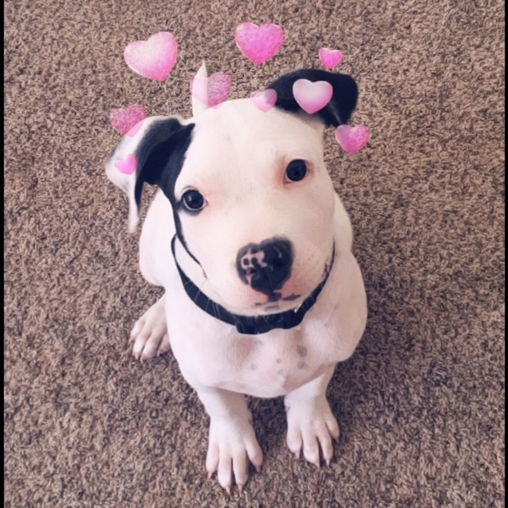 Meet your Posher, Madison