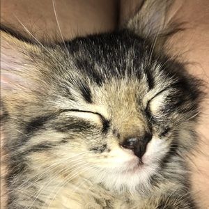 Meet your Posher, Margaret