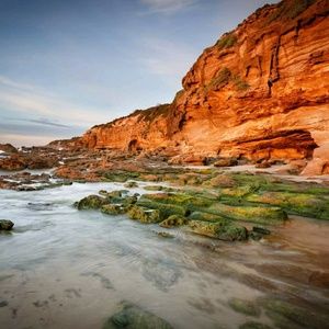 Meet your Posher, Laurie