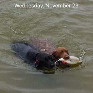 Meet your Posher, Mikey