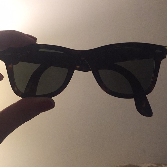 RayBan Wayfarer Polarized - tortoise - Picture 5 of 6