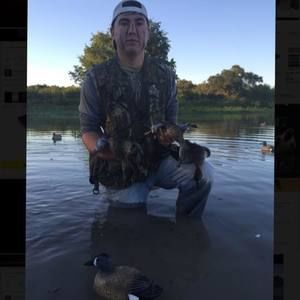 Meet your Posher, Larry