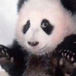 Meet your Posher, Adrianna