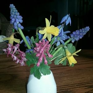 Meet your Posher, Ann