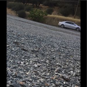 Meet your Posher, Antonio