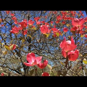 Meet your Posher, Jeanette