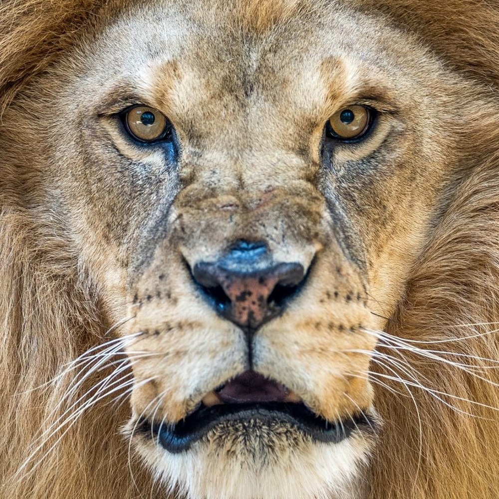 Meet your Posher, Jayme