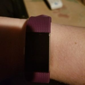 Fitbit charger 2
