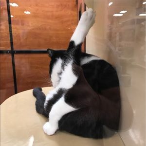 Meet your Posher, Brian