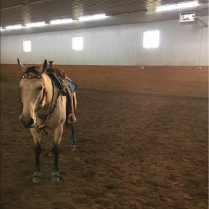 Meet your Posher, Sydney