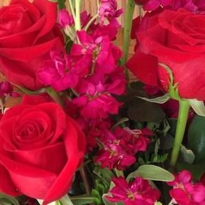 Meet your Posher, Hanh