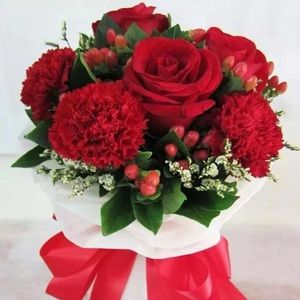 Meet your Posher, Elvia