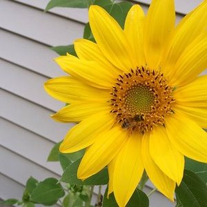 Meet your Posher, Hayley