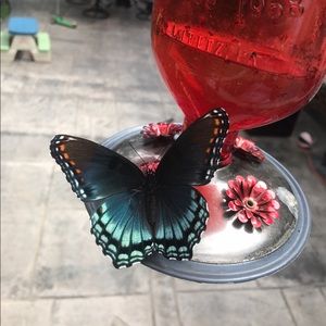 Meet your Posher, Leigh