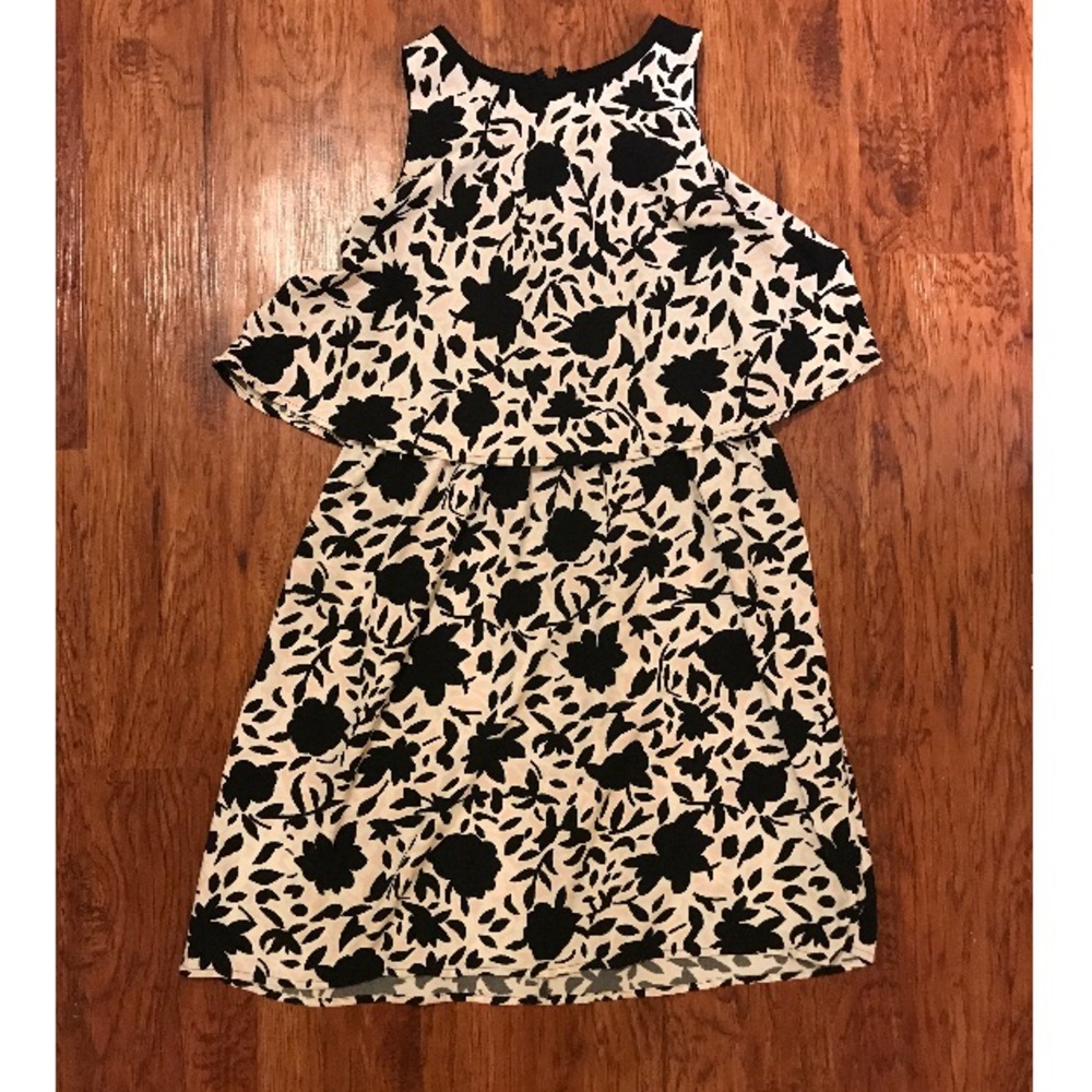 Loft Soft Pink and Black Floral Dress