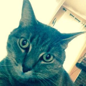 Meet your Posher, Lindsay