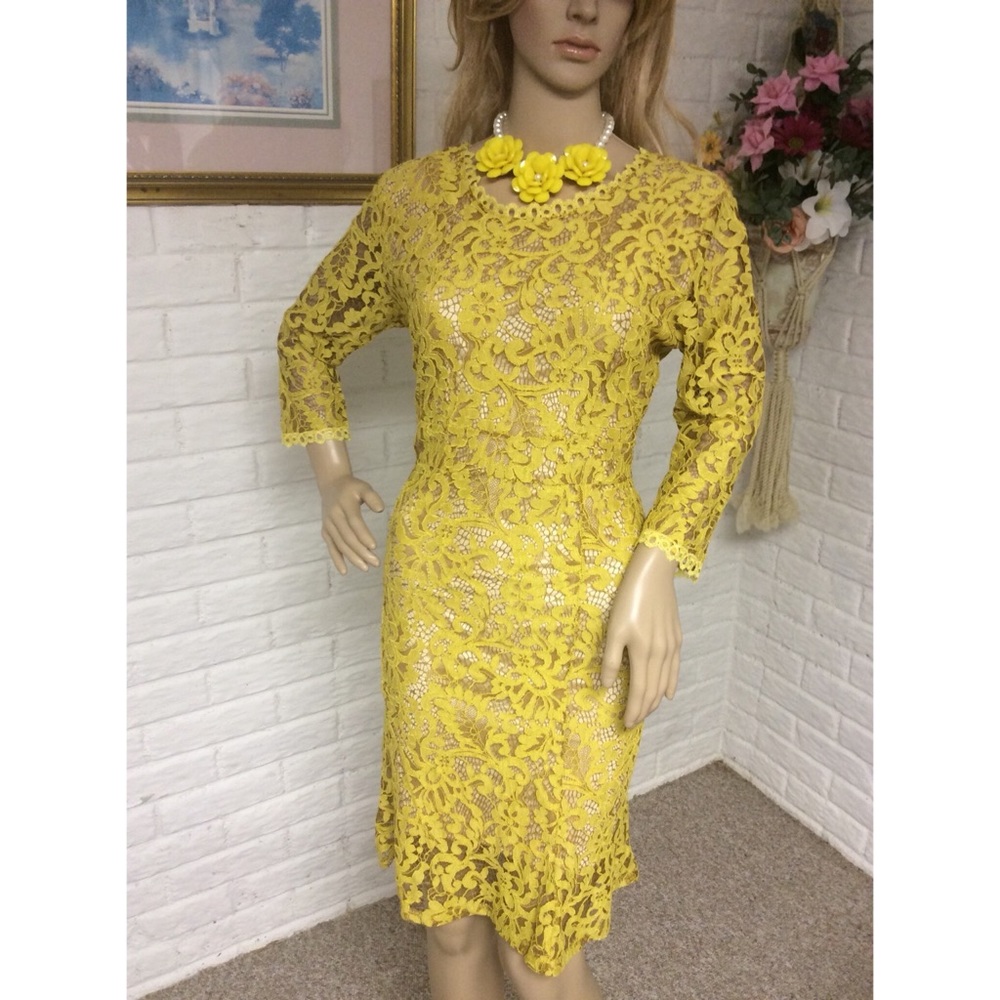 Lace Overlay Midi Dress (Small) NWOT - Picture 1 of 5