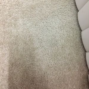 Meet your Posher, Ashok