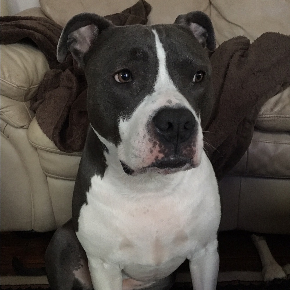 Meet your Posher, Kyle