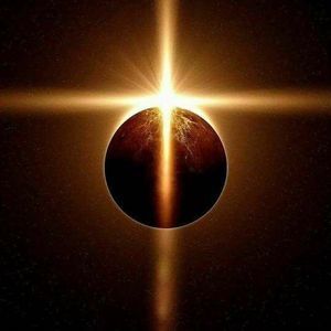 Meet your Posher, Tony