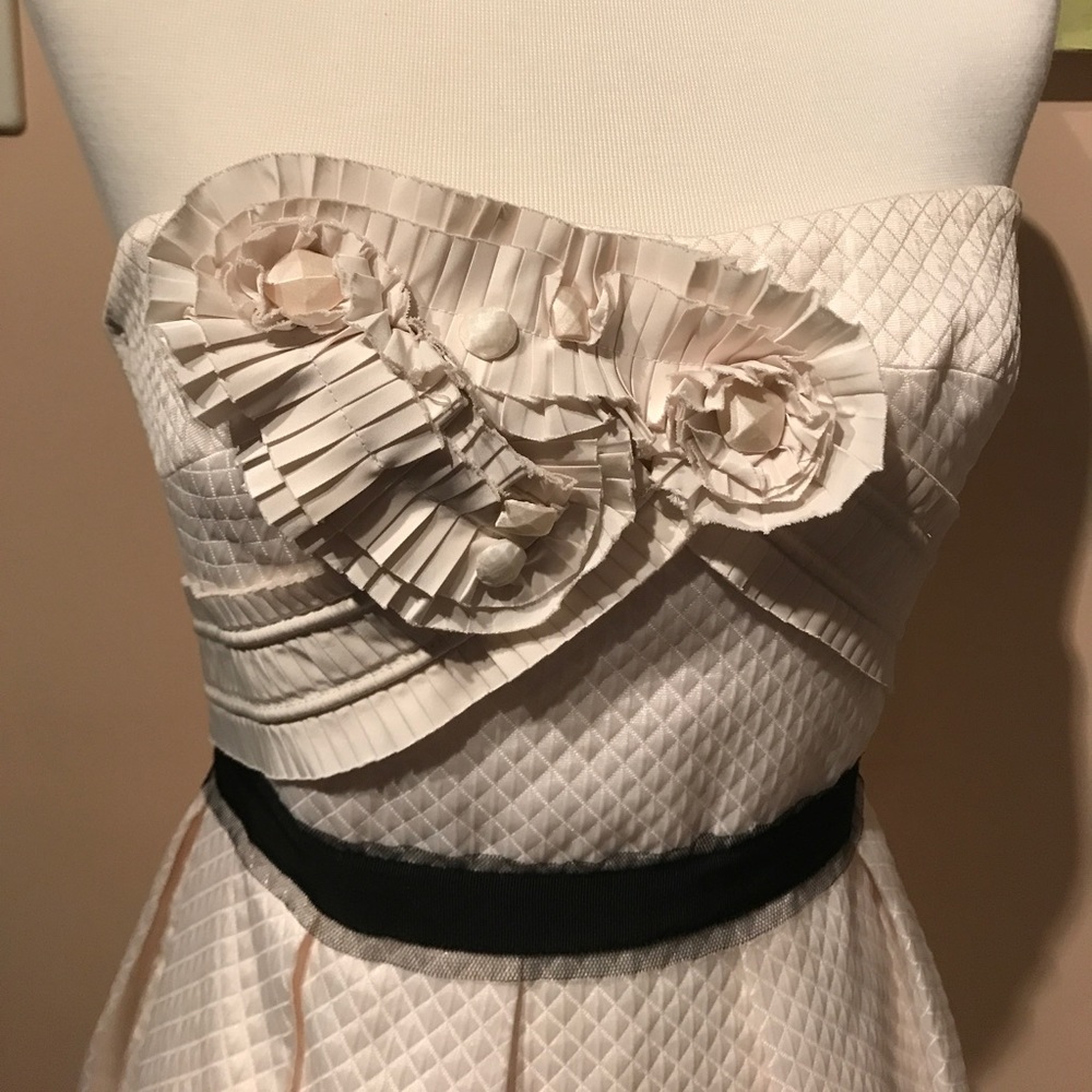 BCBG Max Azria Strapless Dress