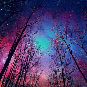 Meet your Posher, Logan