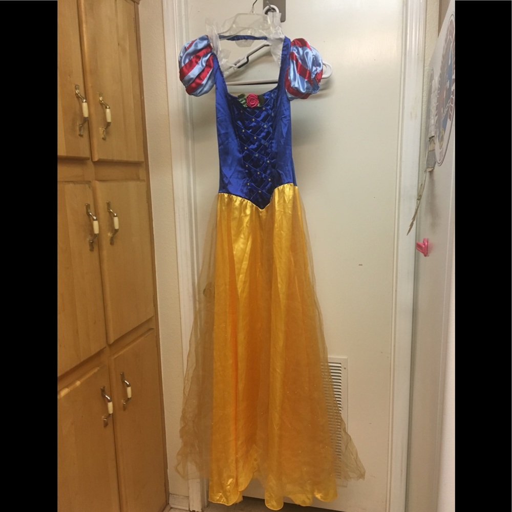 Snow White Costume