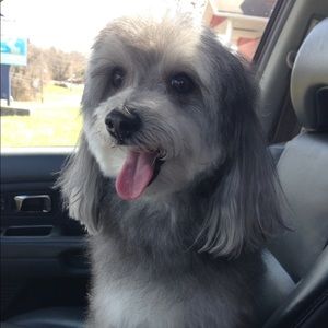 Meet your Posher, Debbie