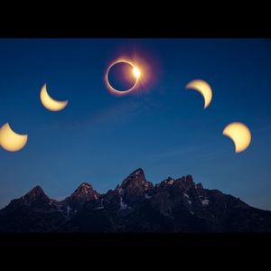 Meet your Posher, Dominique