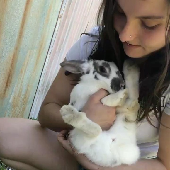 Meet your Posher, Eva - Picture 1 of 1