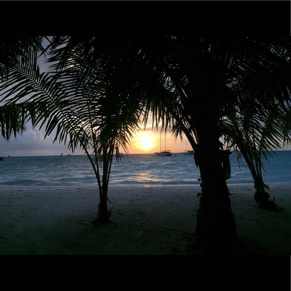 Meet your Posher, Tahani