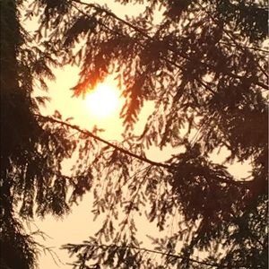 Meet your Posher, Bella