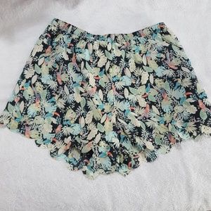Lauren Condrad Scalloped Shorts