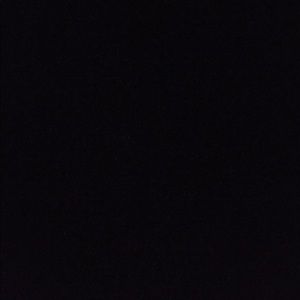 Meet your Posher, Rodney