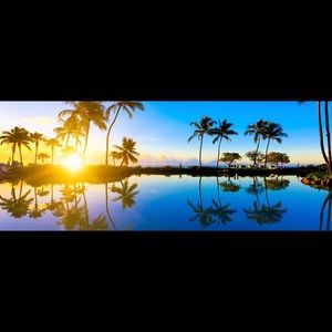 Meet your Posher, Anne