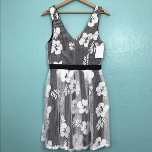 Everleigh Dress from Nordstrom