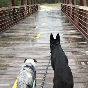 Meet your Posher, Monica