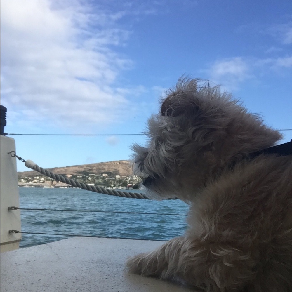 Meet your Posher, Rachel