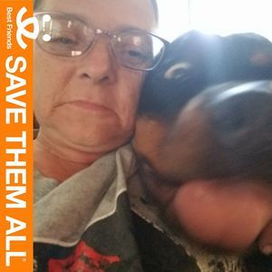 Meet your Posher, Karla