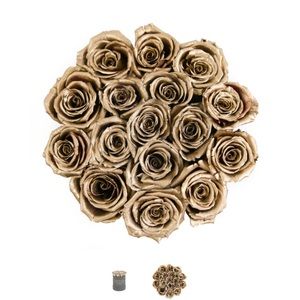 Meet your Posher, Chelsea