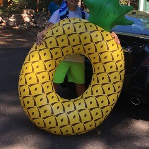 Pineapple🍍Floatie