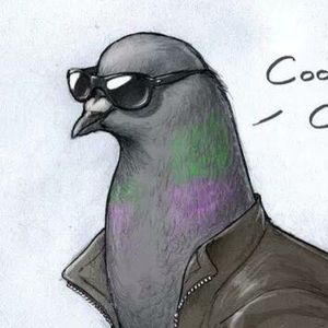 Meet your Posher, Rey