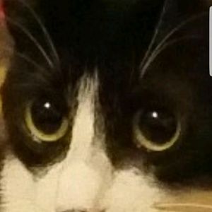 Meet your Posher, Sharon