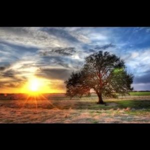 Meet your Posher, Paul